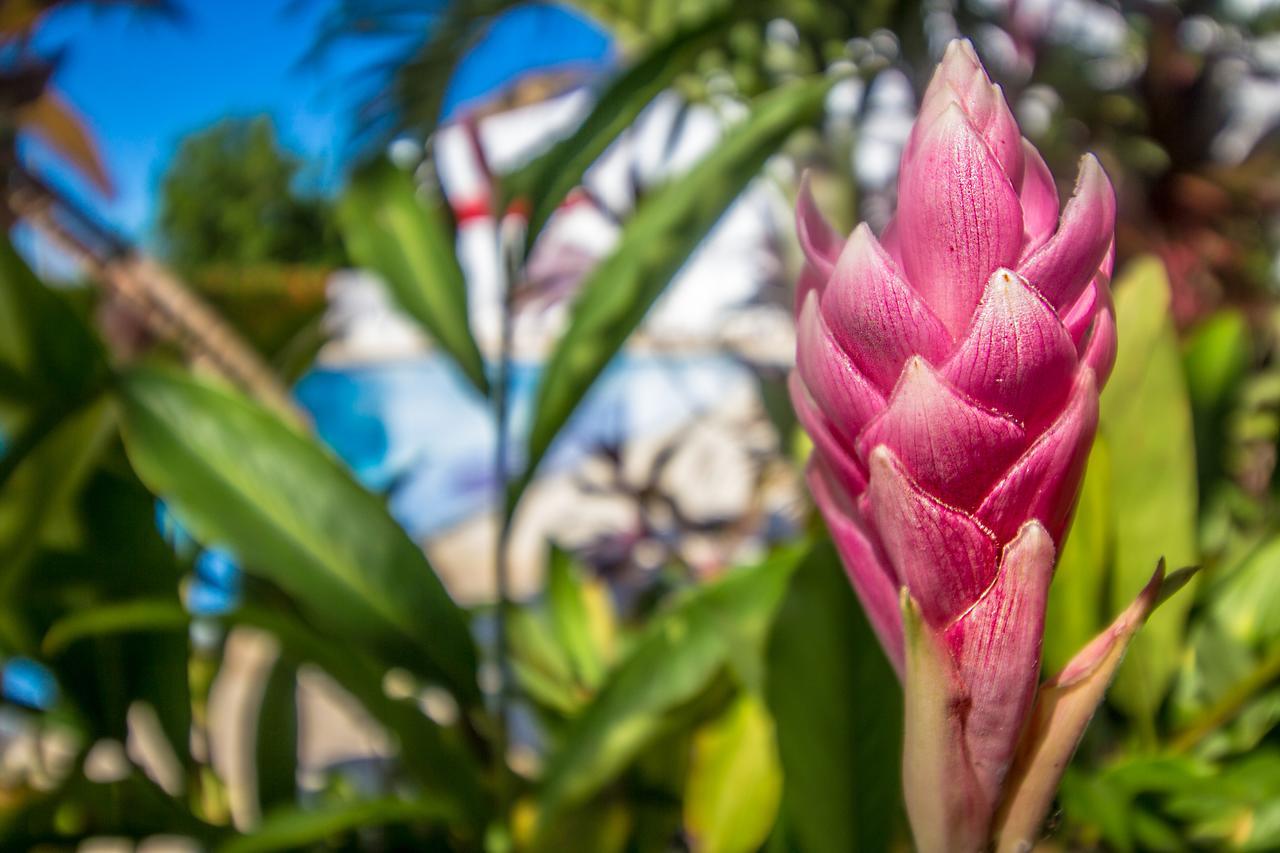 Hotel Aria Manzanillo Картахена Экстерьер фото